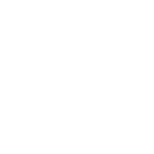 icon worldmap